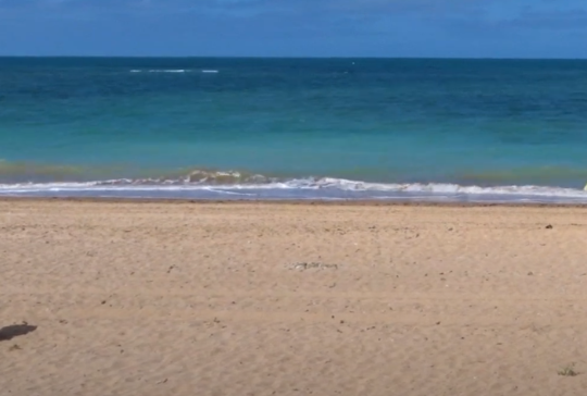 Playa del camarón