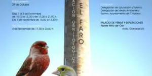 Asociación Ornitológica El Faro